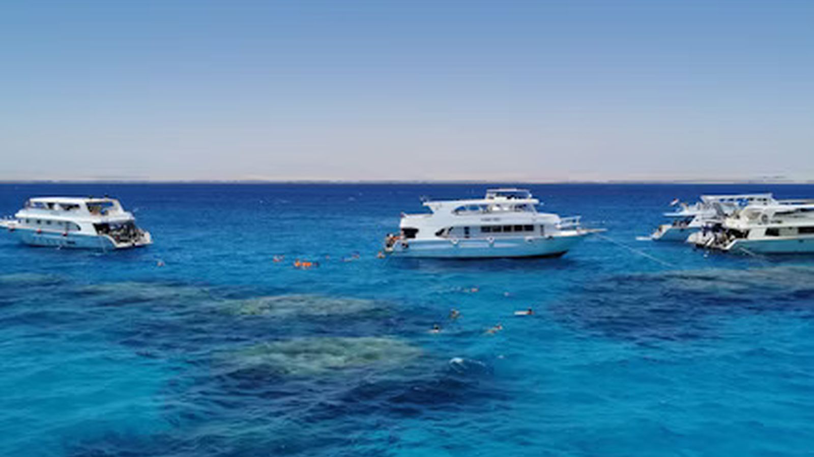 Ultimate Hurghada Day: Dolphins, Coral Reefs & Camel Ride