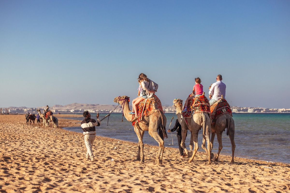 Egypt Dream: Seven Days of Ancient Wonders & Coastal Calm