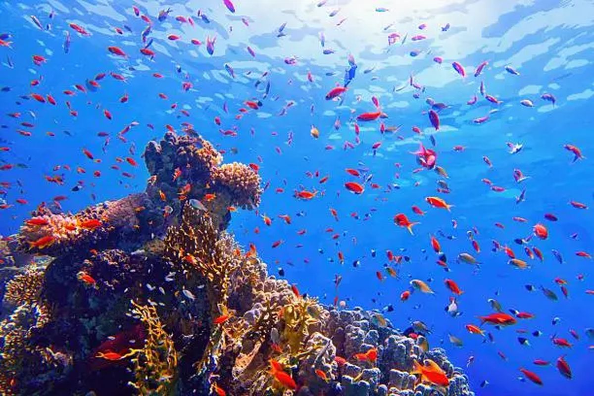 Red Sea and Ancient Wonders (12 Days)